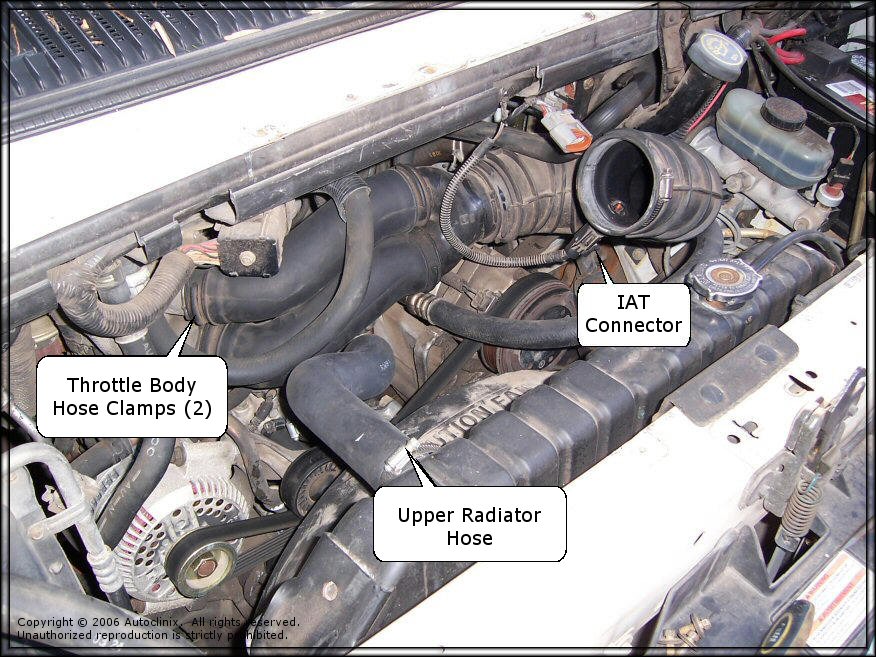 Autoclinix.com - Ford Econoline & Ford F150 5.0L / 5.8L Water Pump Repair